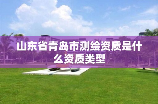 山东省青岛市测绘资质是什么资质类型