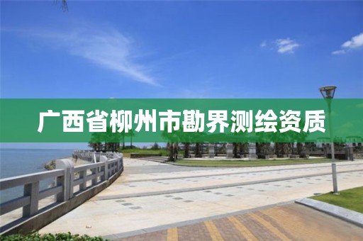 广西省柳州市勘界测绘资质