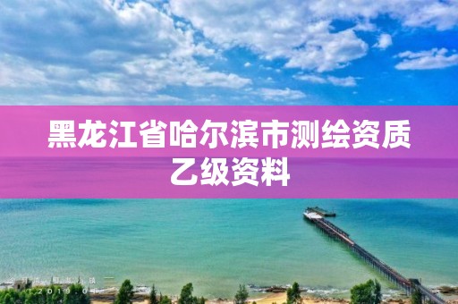 黑龙江省哈尔滨市测绘资质乙级资料