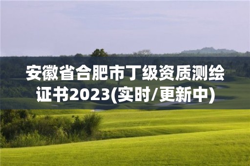 安徽省合肥市丁级资质测绘证书2023(实时/更新中)