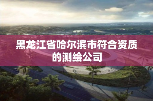 黑龙江省哈尔滨市符合资质的测绘公司