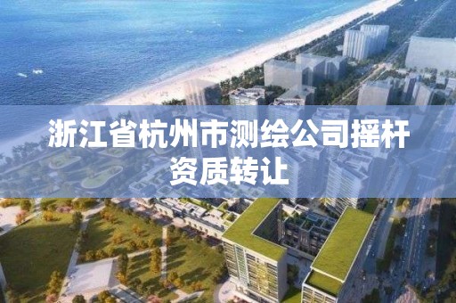 浙江省杭州市测绘公司摇杆资质转让