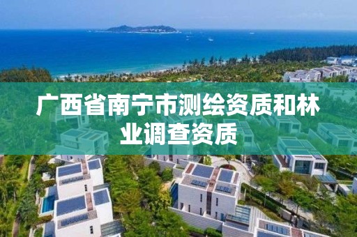 广西省南宁市测绘资质和林业调查资质