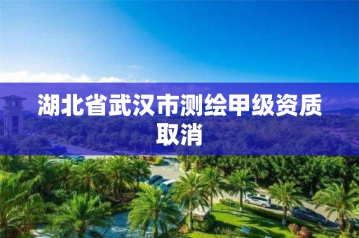 湖北省武汉市测绘甲级资质取消