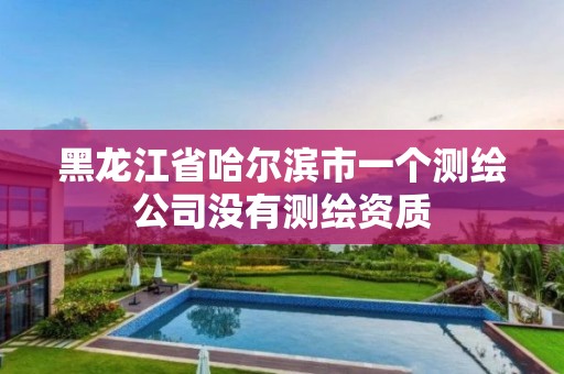 黑龙江省哈尔滨市一个测绘公司没有测绘资质