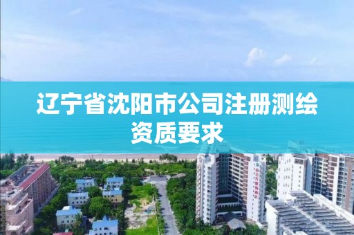 辽宁省沈阳市公司注册测绘资质要求