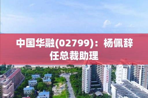 中国华融(02799)：杨佩辞任总裁助理