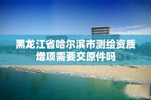 黑龙江省哈尔滨市测绘资质增项需要交原件吗