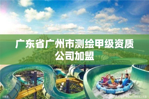 广东省广州市测绘甲级资质公司加盟