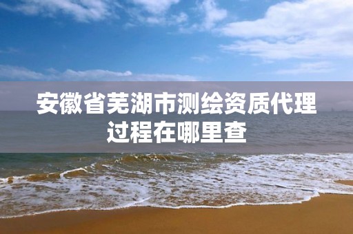 安徽省芜湖市测绘资质代理过程在哪里查