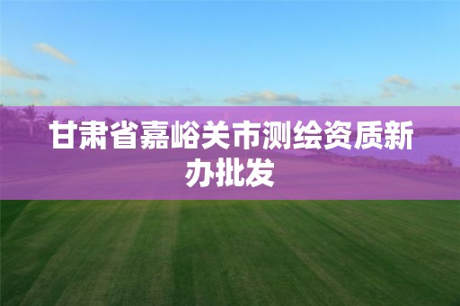 甘肃省嘉峪关市测绘资质新办批发