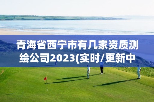 青海省西宁市有几家资质测绘公司2023(实时/更新中)