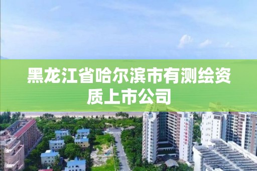 黑龙江省哈尔滨市有测绘资质上市公司