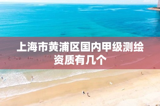 上海市黄浦区国内甲级测绘资质有几个