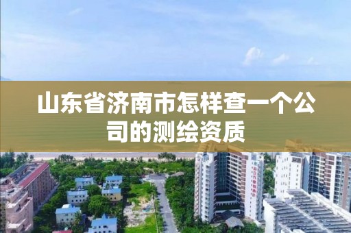 山东省济南市怎样查一个公司的测绘资质