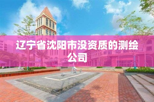 辽宁省沈阳市没资质的测绘公司