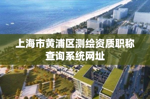 上海市黄浦区测绘资质职称查询系统网址