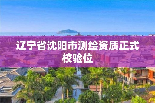 辽宁省沈阳市测绘资质正式校验位