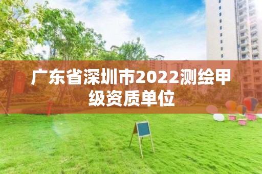 广东省深圳市2022测绘甲级资质单位