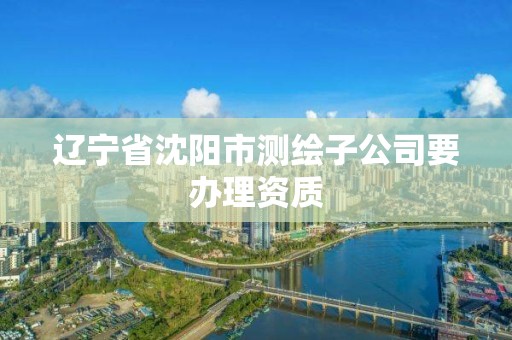 辽宁省沈阳市测绘子公司要办理资质