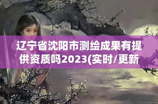 辽宁省沈阳市测绘成果有提供资质吗2023(实时/更新中)