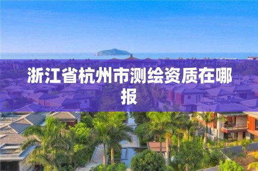 浙江省杭州市测绘资质在哪报