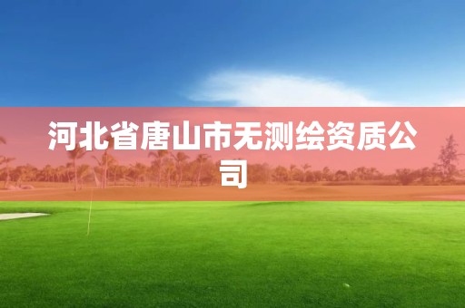 河北省唐山市无测绘资质公司