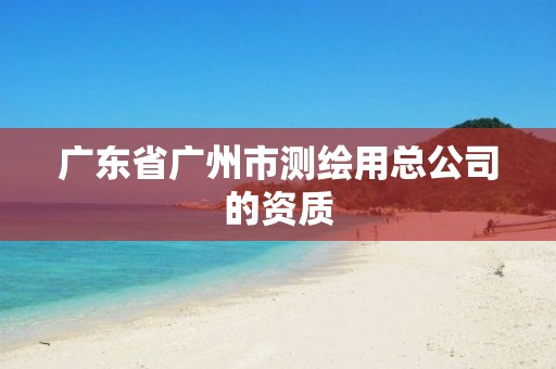 广东省广州市测绘用总公司的资质