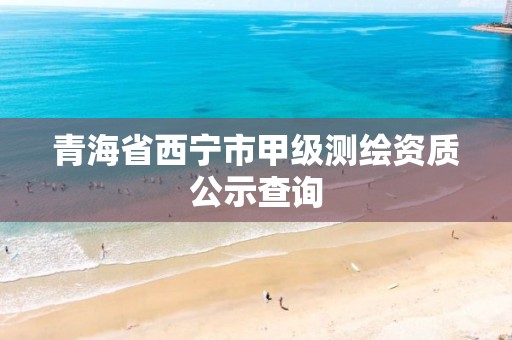 青海省西宁市甲级测绘资质公示查询