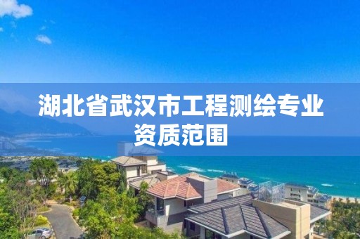 湖北省武汉市工程测绘专业资质范围