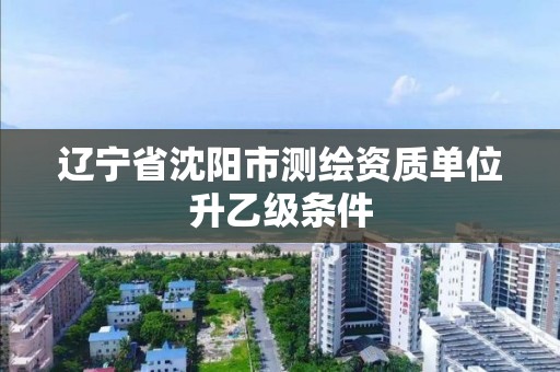 辽宁省沈阳市测绘资质单位升乙级条件