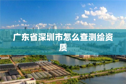 广东省深圳市怎么查测绘资质