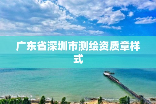 广东省深圳市测绘资质章样式