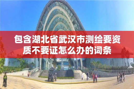 包含湖北省武汉市测绘要资质不要证怎么办的词条