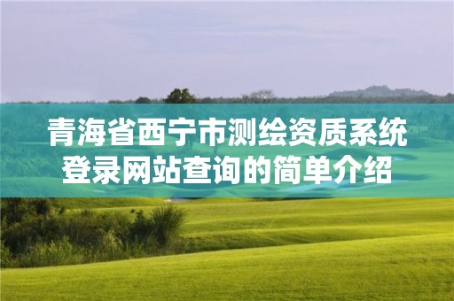 青海省西宁市测绘资质系统登录网站查询的简单介绍