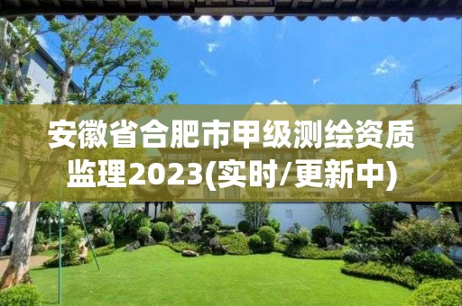 安徽省合肥市甲级测绘资质监理2023(实时/更新中)