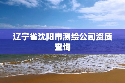 辽宁省沈阳市测绘公司资质查询