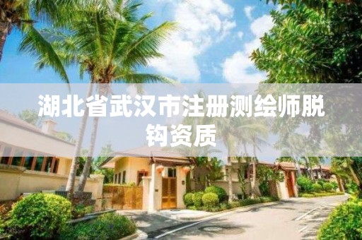 湖北省武汉市注册测绘师脱钩资质