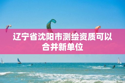 辽宁省沈阳市测绘资质可以合并新单位