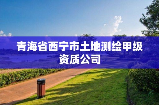 青海省西宁市土地测绘甲级资质公司