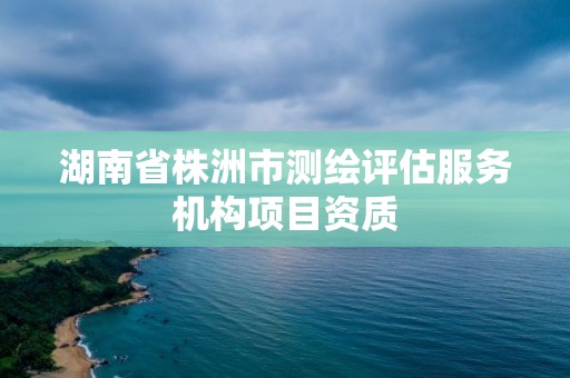 湖南省株洲市测绘评估服务机构项目资质