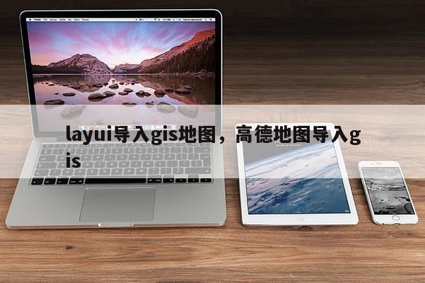 layui导入gis地图，高德地图导入gis