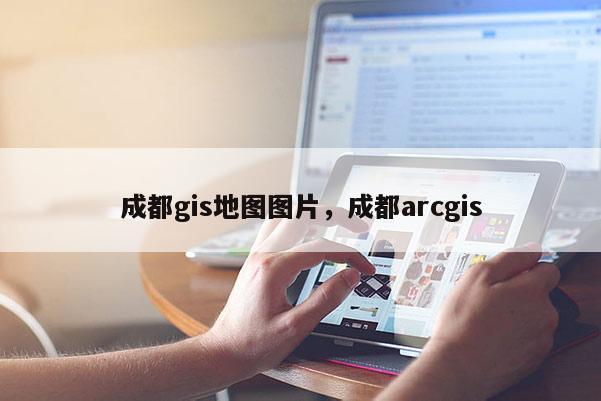 成都gis地图图片，成都arcgis