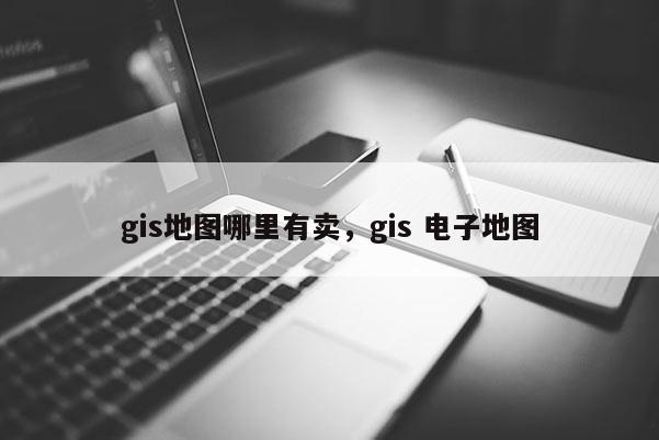 gis地图哪里有卖，gis 电子地图