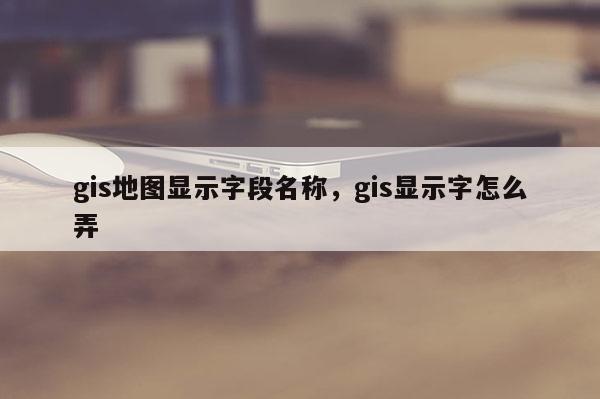 gis地图显示字段名称，gis显示字怎么弄