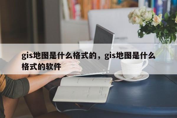 gis地图是什么格式的，gis地图是什么格式的软件