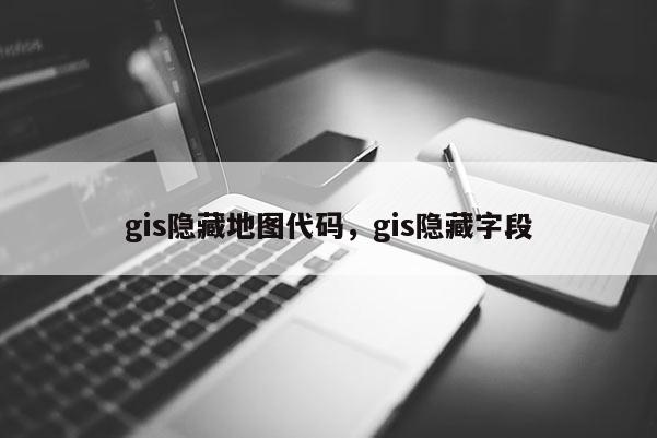 gis隐藏地图代码，gis隐藏字段