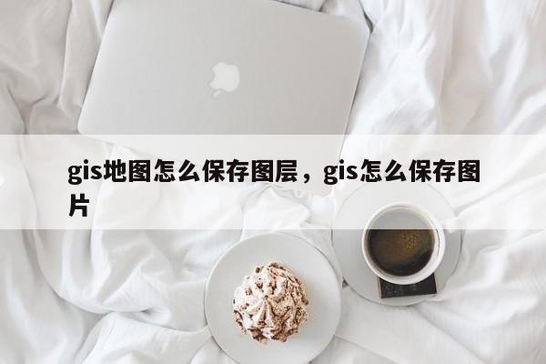 gis地图怎么保存图层，gis怎么保存图片