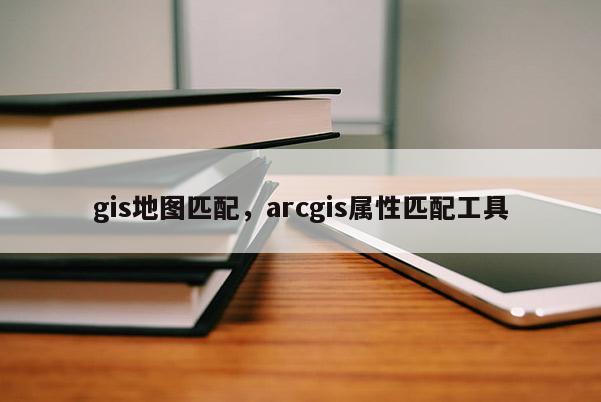 gis地图匹配，arcgis属性匹配工具