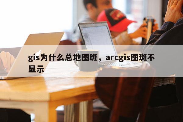 gis为什么总地图斑，arcgis图斑不显示